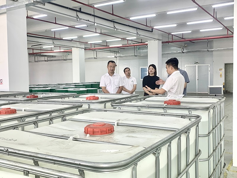 政企连心·共促发展|东莞市东城区政府领导莅临雷火竞技官网新材参观指导